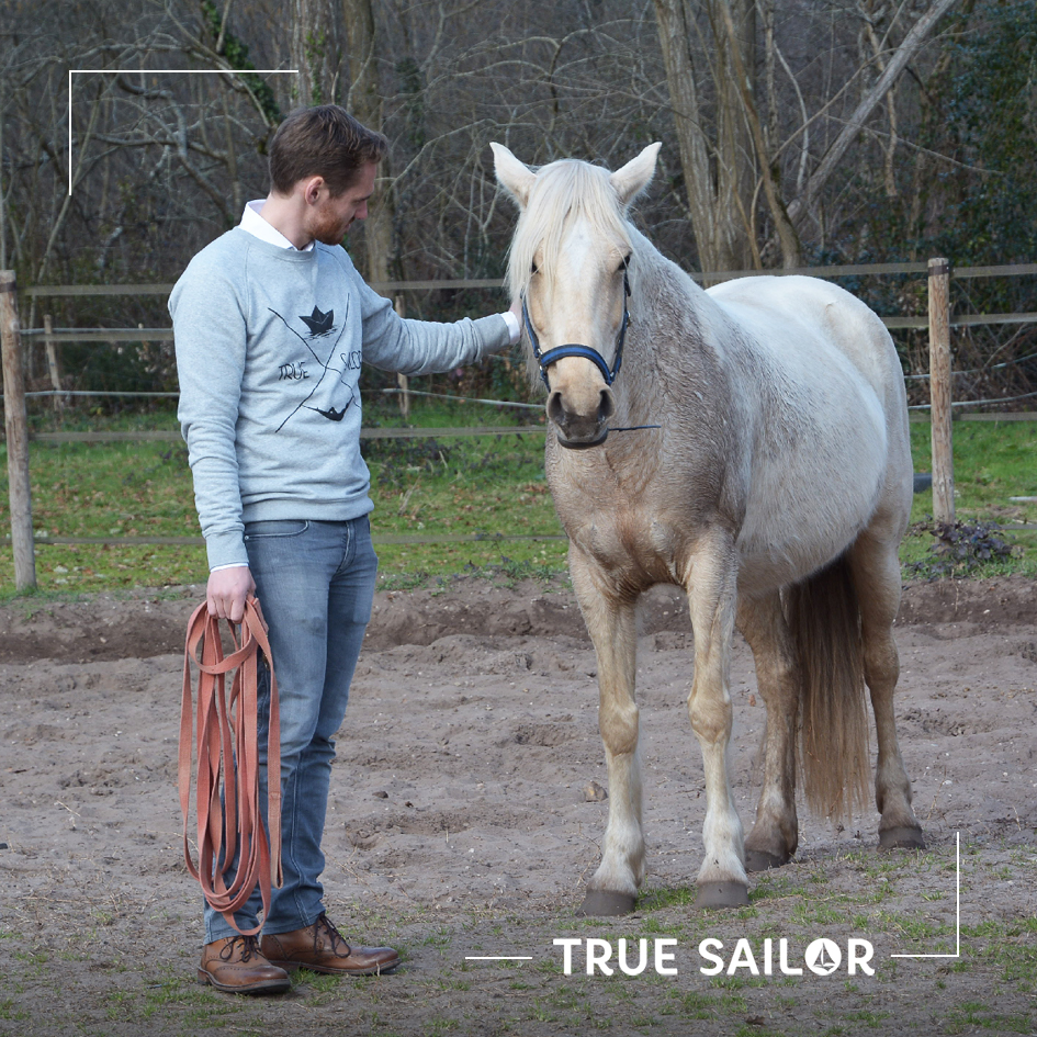 team building équitation expérience originale
