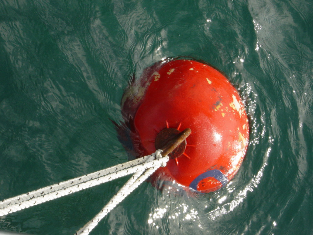double amarrage sur bouée rouge
