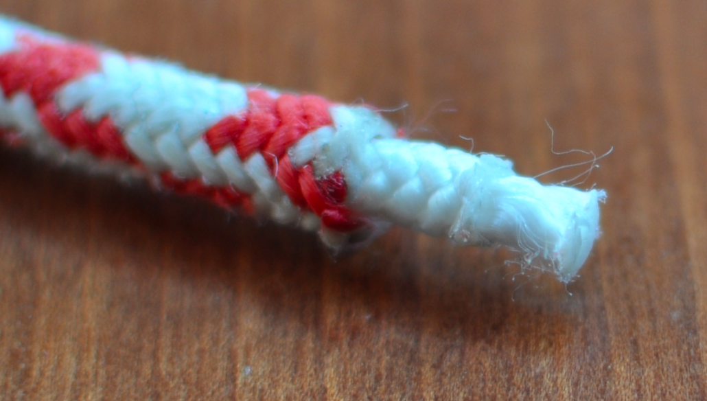 macro sur l'anatomie d'un bout