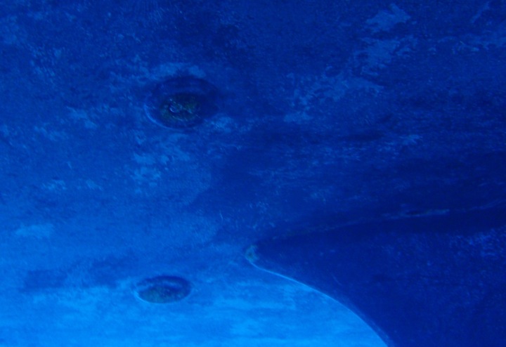 speedomètre vu sous l'eau