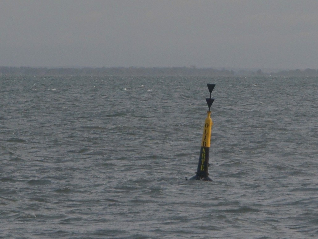 balise sud flotante